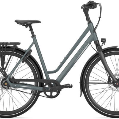 Gazelle Chamonix S8 Low Step.jpg